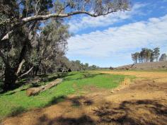Allanson WA Lot 107 - Attractive 106 acres (43.27 hectares) bare land with regrowth tree plantation. A creek line and power runs through the property. The adjoining three lots are also for sale with the total land area 454 acres or 183.7 ha currently on 4 titles with the option of a 5th title subject to subdivision approval. - Lot 107 106 acres 43.27ha $619,146 -Lot 149 52 acres 21.34ha $450,000 -Lot 100 195 acres 80.2289ha $1,472,000 -Lot 2698100 acres 40.52ha $584,000 Magnificent elevated quality farms. One with large spring fed dam, good weatherboard cottage and sheds. A1 horticultural loam soils, shiraz vineyard, grazing sheep, but suitable for horses, cattle etc. Timber plantation. Three of the titles are leased with attractive returns. The Seller may offer terms and seeks prospective purchasers to make offers upon inspection by appointment. Information Memorandum available on request.