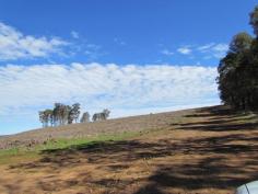 Lot 107 - Attractive 106 acres (43.27 hectares) bare land with regrowth tree plantation. A creek line and power runs through the property. The adjoining three lots are also for sale with the total land area 454 acres or 183.7 ha currently on 4 titles with the option of a 5th title subject to subdivision approval. - Lot 107 106 acres 43.27ha $619,146 -Lot 149 52 acres 21.34ha $450,000 -Lot 100 195 acres 80.2289ha $1,472,000 -Lot 2698100 acres 40.52ha $584,000 Magnificent elevated quality farms. One with large spring fed dam, good weatherboard cottage and sheds. A1 horticultural loam soils, shiraz vineyard, grazing sheep, but suitable for horses, cattle etc. Timber plantation. Three of the titles are leased with attractive returns. The Seller may offer terms and seeks prospective purchasers to make offers upon inspection by appointment. Information Memorandum available on request.