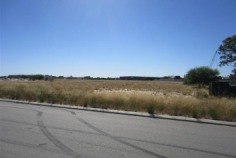 For Sale
Price: $3,510,000 plus GST
Property Type:
Development
Land Area:
11753m² approx.
Zoning:
Industrial
Inspection Times:
By Appointment
Vacant Industrial Land
- 1.1753 hectares approx
- Zoned Industrial
- Great access to Tonkin Highway
For further information contact:
Andrew McKerracher
0403 232 034
acmckerracher@burgessrawson.com.au