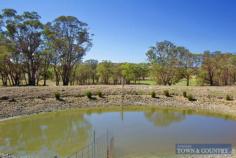 13 stringy bark ridge road armidale Perfectly located is this small rural holding with sealed road access to
the University City of Armidale . On offer is approximately 35 acres
which is currently run as a stud Angora Mohair goat enterprise. There
are numerous stand out features of this property, they include; - 4 bedroom brick veneer home, main bedroom with ensuite. - Multiple living areas through out the home with wood heating. - Large timber kitchen with a great Northern outlook and timber verandah. - Solar hot water system and back to grid solar panels. - 6 Bay colourbond shed with workshop areas with fully equipped single stand shearing shed. - Separate toilet and shower off workshop area. - Ample water storage, 5 x 25,000 litre tanks, 3 dams, plus creek frontage. - Fenced into 5 paddocks with good shelter breaks. - Established goat/sheep/alpaca yards and loading race. To view this exceptional property contact Michael Singleton on 0434714788 today for further information.
