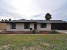 4 Iris Place, Sara Doig : Massive Workshop
Located on the ocean side of Yangebup close to the new
Beeliar Shopping Village, schools and transport this property must be
viewed to appreciate. Comprising 3 bedrooms, 1 bathroom, renovated
laundry, gallery kitchen overlooking the rear yard and large lounge and
dining. The property has fresh paint, new carpets and modern fixtures
and fittings. The bonus of this property is a massive 6m x 9m workshop
with concrete hardstand, power and own access. The rear yard is grassed
with a new Gabled Patio with paved entertaining area, enclosed double
carport with remote door and rear access and full rendering to the whole
house. Extras include, light and bright bathrooms and kitchen, reverse
cycle air conditioning to main living, electric boosted solar hot water,
large yard with low maintenance reticulated gardens, quiet location
plus much more.