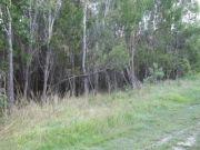 Lot 8 Oakey Creek Road COOMERA, QLD 4209 Ideally located close to Railway Station, Motor Way, School, Tafe, Sports park and Proposed Major Shopping Complex. Features include: * Water Frontage with Ocean Access * Future urban zoning (Albert) * 3.26 Hectares for $1.2 Mil (Approx. $17k per every 500sqm) * Future Development Potential * If approved possible 64 x 500sqm lots = massive profit * 1st time offered for sale in over 25 years * Priced for a quick sale