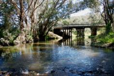 330 Balingup-Nannup Rd Balingup WA 6253 BRING YOUR OWN BOAT! (And fishing rod!) Imagine living on almost 150 acres, with stunning scenery, in a house overlooking the Balingup Brook and having a separate self-contained guest cabin as well! Located on the picturesque Balingup -Nannup tourist drive, the house has been built to take advantage of the wonderful views of the brook. Just settle on the verandahs with a good wine or coffee and enjoy the antics of the incredible birdlife... .nature's free concert ! In winter time (from the cosy comfort of the living area), watch the mists rise from the brook as a new day unfolds. Encircled by trees and panoramic rolling hills, the house and property takes full advantage of its rural surrounds. The countryside is almost reminiscent of a Constable painting, and the everchanging tapestry of the seasons adds to its country appeal. The main house is a very comfortable 2 bedroom home, overlooking Balingup Brook. Visions of 'Wind in the Willows' comes to mind, and the song "Just messing around on the river" describes the ambience perfectly! What better way to spend the afternoon. (See our photo of the little boat on the brook..it may not look very seaworthy, but certainly looks like a lot of fun!) The living area has raked ceilings with exposed beams. It has a lovely welcoming slow combustion stove (for those wonderful winter misty mornings), as well as a reverse-cycle air-conditioner. The guest house is a very spacious open plan design, almost reminiscent of an English bed-sit, and also has a lovely country feel. For those wishing to enjoy self-sufficiency, and wanting to grow their own fruit and vegetables, this property already has a good variety of established and productive fruit trees. Enjoy nature's bounty;- enjoy the taste of pure rainwater, run a few cattle on the property, or maybe catch a marron or perch for tea! (Even if you don't catch any fish, you'll have a good time trying!) At the end of the day, sit back on the verandahs with a good wine, listen to the evening chorus of frogs and birds, and be at one with nature. It doesn't get much better than this! For more information, please call either John or Sue on 97641089