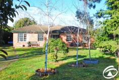 93 Forest Reefs Road, Millthorpe 3 bedroom brick veneer home, main with walk in robe, built ins in others - Dining room - Kitchen with new gas cook top and dishwasher - Family room - Sitting room - Rumpus room - New bathroom - 2nd shower and toilet in laundry - Gas and wood heating - Single garage plus studio - 2 garden sheds - Covered entertaining area - Town water and natural gas - Walk to shops