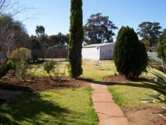 21 CORCORAN ST, Berrigan AREA: 2017.0m2
LOCATION: 21 Corcoran St Berrigan, is close to schools and all town amenities, rear lane access into second enclosed back yard
This comfortable family home is well located. An easy walk to town.
With its 9 ft. ceilings, polished timber floors in the living areas,
carpeted hallway and bedrooms and quality blinds and curtains
throughout, it is waiting for you to include your personal touch to it.
Some of the many features include:
* KITCHEN: Walk-in pantry, dish washer, electric stove with range hood, breakfast bar, lots of cupboards.
* BATHROOM: Bath, glass shower, vanity, tiled floor. SEPARATE TOILET.
* THREE LARGE BEDROOMS: All with spacious wardrobes and decorative practical timber shelving
* LAUNDRY: Good sized with linen cupboard and tub.
* LARGE LINEN CUPBOARD in carpeted hallway, adjacent to bedrooms and bathroom
MASSIVE GRASSED AND EASY CARE BACK YARD, safely fenced for children and pets.
A 6 m x 12 m SHED WITH CONCRETE FLOOR, CUPBOARD SPACE AND SHELVING - AND POWER. GARDEN SHEDS
Another fully fenced graveled yard area accessible from rear laneway, divided from back yard by secure fencing.
A QUALITY HOME IN QUIET STREET
ASKING $172,000.00 NEG