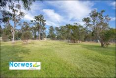 91-95 Torkington Rd Londonderry NSW 2753 ffering 4 generous bedrooms with built-ins
-Massive master with modern ensuite
-Modern polyurethane kitchen with induction cook top
-Scratch proof timber floating floors
-Air condition and a warm fire place for winter chill
-Massive double auto door garage 9m x 10m
-Separate storage shed (12m x 6m x 3.5m) with dual roller door
Ideal For: Home owner, Investor, Hobby farm and Machinery storage
Other Features: Gazebo BBQ area, Double door shed, 5000lt water tank,
cubby house, Londonderry Pony Club 5km, Previously used for greyhound.
Council Rate: Water Rate: $150pq + usage approx
Land area: 51.46m x 196.6m = 10,117.036m2 (2.5 acre)
Estimated Rental Return: approx $550-$580per week