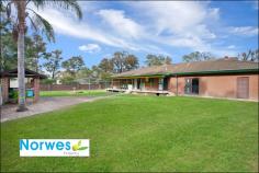 91-95 Torkington Rd Londonderry NSW 2753 ffering 4 generous bedrooms with built-ins
-Massive master with modern ensuite
-Modern polyurethane kitchen with induction cook top
-Scratch proof timber floating floors
-Air condition and a warm fire place for winter chill
-Massive double auto door garage 9m x 10m
-Separate storage shed (12m x 6m x 3.5m) with dual roller door
Ideal For: Home owner, Investor, Hobby farm and Machinery storage
Other Features: Gazebo BBQ area, Double door shed, 5000lt water tank,
cubby house, Londonderry Pony Club 5km, Previously used for greyhound.
Council Rate: Water Rate: $150pq + usage approx
Land area: 51.46m x 196.6m = 10,117.036m2 (2.5 acre)
Estimated Rental Return: approx $550-$580per week
