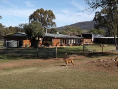Lot 31, 38 Bushes Lane GUNNEDAH NSW 2380 A great little
retreat.. Just over 7 acres, minutes from town & setback from Bushes Lane.
Featuring 3
Bedrooms and a spacious office. The property has a modern country kitchen with
dishwasher,2 living areas, main bathroom includes spa bath & sep shower,
sep toilet and a second shower and toilet in the laundry. The home has A/C, a
cosy wood fire and gas hot water.
4 bay shed, 2
stables, a chook run and fully fenced backyard, townwater and a shared bore.
3 Hectares.
Inspection is by appointment.
DISCLAIMER;
"The above information has been supplied to us by the Vendor. We do not
accept responsibility to any person for its accuracy and do no more than pass
this information on. Interested parties should make and rely upon their own
enquiries in order to determine whether or not this information is in fact
accurate."