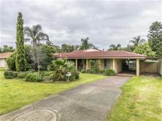 100 Barridale Drive Kingsley WA 6026 This 4 bedrooms or 3 big bedroom + study, two bathrooms home has the perfect layout. With two separate living areas, open plan kitchen, meals and family areas. A huge paved patio and grassed backyard. The home is close to primary school, parks and transport. Features include – • A large front separate lounge room. • The big functional kitchen overlooks the meals, large family room and out to the back yard and patio area. • The kitchen has a double sink, dishwasher, wall oven plus loads of bench and cupboard space. • A big master bedroom with walk in robe and separate light/bright en-suite. • Separate study or fourth bedroom. • The other two large bedrooms are off a hallway and both have double door robes. • The second bathroom is light/bright with a separate shower + bath and vanity. • Separate wc to hallway. • The laundry is at the back of the home with access to the back yard. • The large patio area and back yard are accessed off the family / meals area. • The colour-bond large patio is pitched high for variety and style as you exit the home. There are loads of undercover paved areas. Perfect for entertaining. • The back garden is nice and flat and has a great sized lawn area – perfect for back yard cricket, lawn bowls, badminton or volleyball. There is also a huge shady Mango tree and large lemon tree. • The front garden is neat and tidy. The home is well set back off the road. • There is double undercover parking for up to four cars. With drive through access to the back yard. • The home has reverse cycle air-conditioning plus a wood fire heater centrally located in the family room.