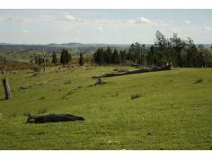 Lot 160 Ballyhooley Frogmore NSW 2586 A great size block for so little, perfect for a weekender, hunting or recreation, enjoy the gently undulating country that is well served by several dams and backing on to a creek. Great locations for building sites, STCA, power runs through the block, hilly granite grazing country with native grass and clover. Located 152km to Canberra & 364km to Sydney. - See more at: http://nationalrurallandsales.com.au/listings/land_sale-120396-frogmore#sthash.E5MY050t.dpuf