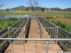 Canowindra 1,092 acres with a long list of inclusions + federation home
• Located approx. 20kms from Canowindra 76 km South west of Orange 55km
North west of Cowra and 55km east of Forbes
• A double brick federation style family home – circa 1912
• 4 large bedrooms, 3 bathrooms, formal and informal living areas, near
new timber kitchen, sweeping verandas, laundry with additional
shower/toilet, ducted evaporation cooling, freestanding heater, pressed
metal ceilings, maintained gardens and underground irrigation, 112000
litres domestic rainwater + in ground swimming pool
• With a long list of inclusions, this farm is set up for any livestock
enterprise and offers pasture improved land with options for crop
growing. + silo
• Approx. 530 acres of red loam to chocolate brown loams
• Super and lime history in cropping paddocks
• Approx. 310 acres open for grazing
• Approx. 250 acres timber hill on Western boundary
• 28 Dams and bore is a huge advantage for constant water supply
throughout the dry times.
• 14x12 hay shed + 24x12 machinery shed with power water and concrete
flooring
• 18 fully fenced paddocks
• Steel sheep/cattle yards
• 20 x 12 horse stable complete with power and water
• 4 stand wool shed and great handling yard