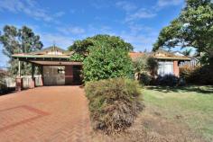 11 Willmott Close Halls Head WA 6210 Property ID: 1P3240
OWNERS SAY SELL BUT TENANT WANTS TO STAY
Price: $379,000
Halls Head is one of Mandurah's most popular
and sought after areas. This part of the suburb is based mostly around
the convenience of the Centro Halls Head Shopping Centre, Mitre 10,
Farmer Jacks and of course the Halls Head Community College and primary
schools being located so close.
Featuring 4 bedrooms 2 bathrooms one of which is the ensuite, front
formal lounge room, spacious open plan family and meal areas that have
high recess ceilings, wood fire place, ducted evaporative air
conditioning, well-appointed kitchen that looks over your outdoor
entertaining area and has loads of cupboard space.
This home also has a lovely back yard that you can access through your
double carport and also has a large 6 x 4 workshop. This is the perfect
opportunity to start or to build your rental portfolio, as there is a
fantastic tenant in place willing to stay on and pay your mortgage
repayments for you.
What more could you want?
Please call me to make your appointment to view this well-priced character home today.