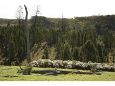 Lot 160 Ballyhooley Frogmore NSW 2586 A great size block for so little, perfect for a weekender, hunting or recreation, enjoy the gently undulating country that is well served by several dams and backing on to a creek. Great locations for building sites, STCA, power runs through the block, hilly granite grazing country with native grass and clover. Located 152km to Canberra & 364km to Sydney. - See more at: http://nationalrurallandsales.com.au/listings/land_sale-120396-frogmore#sthash.E5MY050t.dpuf