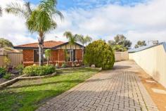 22 Pinnacles place Ballajura WA 6066 Tucked away in a quite cul de sac and only moments away from Schools/Child Care, Shops, Parks and Public Transport. This gorgeous 4x2 with study offers great family living with a floor plan that flows. After walking into this home you immediately get that warm feeling like you are home, walking into the family room. The main room is located at the front of the house, it is a great size with a walk in robe and ensuite. The Kitchen is very modern with its earthly colours, Top quality appliances, and also has a convenient breakfast bar that opens up onto the dining room. The kitchen looks out onto the Lounge. The minor rooms all have built in robes and are of decent size, the study is located between rooms 3 and 4. It has a window looking out onto the lounge. Not forgetting the advancement in technology with cable internet connection This is a great family home, where your many separate living areas can accommodate a growing family nicely