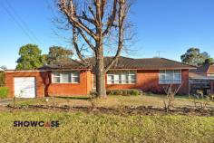 7 Kywong St Telopea NSW 2117 Occupying 653sqm parcel with 29 metres frontage conveniently located to transport, shops and schools. This comfortable north facing home has unlimited potential under Parramatta Council. Sought after area with park outlook. - 4 large bedrooms, built-in in master - Lounge room plus dining - Neat modern kitchen with meals area - 2 bathrooms (1 off laundry) - Rumpus room in downstairs area - Great backyard plus inground pool - Lock up garage plus carport - Convenient to all amenities on Carlingford border, walk to schools include James Ruse and Carlingford West. Duplex potential is a bonus. Features In-ground pool Property Details Bedrooms 4 Bathrooms 2 Garages 2 Contact Details Agent Margot Brattoli Phone: 02 9872 2888 Mobile: 0416 174 420 Contact Details Agent Michael Brattoli Phone: 02 9872 2888 Mobile: 0405 389 908