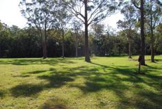 305 Dath Henderson Road TINBEERWAH, QLD 4563 Circumstances Call for Immediate Sale. Make Me An Offer
- TINBEERWAH QLD Ideally
located close to Noosa, Cooroy and Eumundi this 34 acre captivating
block must be sold due to vendor circumstances. Situated at the end of a
long 500 metre sealed driveway you will enjoy absolute peace and quiet
in the heart of the Noosa Hinterland. Improvements to the block include a
23m x12m Totalspan shed complete with steel framed internal wall
partitions and ceilings, power connected to the power box at the front
of the property and three-phase power cabling trenched and installed to
the shed and single phase cabling trenched and installed to the power
post for the house site, installation of Advanced Secondary Fuji Clean
water treatment system, installation of septic holding tank plus pump
well tank for shed use and connection from these tanks to Fuji system
plus under slab plumbing from shed to septic holding tank, soil testing
for proposed house site and dam site, poly pipe connection from on-site
bore to shed, and much more. The land is a mixture of established
timber, green open pasture and heavily timbered natural forest. This is
an opportunity not to be missed, most of the work is done and all that’s
left to do is build your dream home. Bookings by appointment Call
anytime to arrange a viewing. Ref: 489