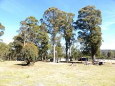124 Forest Rd Rhyndaston TAS 7120 Farmlet Near Railway Town Rhyndaston is a very attractive little village where Tasmania's main railway line emerges on to the Oatlands plateau from a 955metre tunnel. Close to the township we are offering this 33.5ha farmlet for sale. Called "Kilfenora", which means Church of fertile lands, its 15 acres of pasture is fenced into 7 paddocks by excellent fences and is watered by 4 dams. The beautiful bush runs down to a creek and has around $20,000 worth of commercial timber or firewood. The two bedroom house is painted galvanised iron and is surrounded by a pretty garden. It also has a substantial workshop, pig and chook shelters plus a container for storing valuables.
