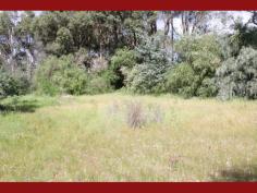 Parkerville
WA
6081
What a spot! Opposite the huge Railway and Florence Watson Reserves
with walkways and a creek this conveniently shaped block is in a prime
position and has a wide 31 metre frontage allowing for all sorts of
different home designs to be built within.
Stretching to a depth of approximately 75 to 80 metres there is heaps
of space to separately erect other buildings and have space to keep in
it’s natural current state or develop with the gardens of your choice.
The community around is well established with already built homes on
three sides, perfect for those wanting to settle into a neighbourhood of
long standing locals and not have to endure the buzz of building works
of new developments.
Incredibly close to the Jane Brook Walk Trail the property is only
minutes’ walk to the heart of Parkerville, its local shops and local
school further afield. Also within 5 minutes drive of the local hub of
the Hills, Mundaring is a only short distance away.
This 2378sqm (over half and acre) blank canvas could be the ideal
location for your awaiting Hills home so get a phone and call Tim
Christie.