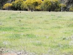 Lot 2 Fernie Rd, Bakers Hill, WA 6562
YOUR OWN PIECE OF HEAVEN!!
Just enough pasture to keep the ponies
(about 75%) , a bit of bush for shade and a winter creek to have those
picnics beside!
Fully fenced 5 acre block with all services available .
Come and see this pretty block and decide where the dream house is going
to be built!