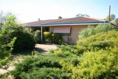 3 Parker St Pingelly WA 6308 Comfortable Country home in Pingelly Welcome to a newly listed brick and tile home located near the top of the hill in one of Pingelly's best streets. Nestled within an easy care garden featuring mainly large trees and shrubs, the home has privacy from the street while at the same time enjoying the convenience and access of a corner lot location. Obviously built by someone with an eye for quality and space, this practical family home features a very easy living design which is sure to relax you when you walk in. Starting at the front, there is a large porch area sheltering the front door from the elements. Opening into a passageway through to the large lounge and dining room where a tile fire has been installed to keep you warm. The kitchen is easily accessed via a door to the dining room and is impressive for its extensive cupboard and cabinet space. With a real farm kitchen feel to it, the kitchen enjoys a separate pantry room and back door access to the easterly facing verandah. The home has three good sized bedrooms, one of which has both built in robe and ensuite bathroom. A dedicated office room has been built to benefit from the light shining through its glass dividing wall a very unusual and effective design. If you love gardening or you have a lot of toys this property has plenty of room. With a large lockup garage under the main roof with storeroom there is also a large steel framed free standing garage/workshop in the back yard. The corner lot also has the potential for access from two streets should you need to park a caravan. There are a lot more things to discover about this lovely home, call Elders Real estate today to arrange your private inspection of the property. Other features: Deep sewerage, rainwater tank, access for caravan
