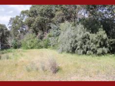 Parkerville
WA
6081
What a spot! Opposite the huge Railway and Florence Watson Reserves
with walkways and a creek this conveniently shaped block is in a prime
position and has a wide 31 metre frontage allowing for all sorts of
different home designs to be built within.
Stretching to a depth of approximately 75 to 80 metres there is heaps
of space to separately erect other buildings and have space to keep in
it’s natural current state or develop with the gardens of your choice.
The community around is well established with already built homes on
three sides, perfect for those wanting to settle into a neighbourhood of
long standing locals and not have to endure the buzz of building works
of new developments.
Incredibly close to the Jane Brook Walk Trail the property is only
minutes’ walk to the heart of Parkerville, its local shops and local
school further afield. Also within 5 minutes drive of the local hub of
the Hills, Mundaring is a only short distance away.
This 2378sqm (over half and acre) blank canvas could be the ideal
location for your awaiting Hills home so get a phone and call Tim
Christie.