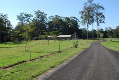 305 Dath Henderson Road TINBEERWAH, QLD 4563 Circumstances Call for Immediate Sale. Make Me An Offer
- TINBEERWAH QLD Ideally
located close to Noosa, Cooroy and Eumundi this 34 acre captivating
block must be sold due to vendor circumstances. Situated at the end of a
long 500 metre sealed driveway you will enjoy absolute peace and quiet
in the heart of the Noosa Hinterland. Improvements to the block include a
23m x12m Totalspan shed complete with steel framed internal wall
partitions and ceilings, power connected to the power box at the front
of the property and three-phase power cabling trenched and installed to
the shed and single phase cabling trenched and installed to the power
post for the house site, installation of Advanced Secondary Fuji Clean
water treatment system, installation of septic holding tank plus pump
well tank for shed use and connection from these tanks to Fuji system
plus under slab plumbing from shed to septic holding tank, soil testing
for proposed house site and dam site, poly pipe connection from on-site
bore to shed, and much more. The land is a mixture of established
timber, green open pasture and heavily timbered natural forest. This is
an opportunity not to be missed, most of the work is done and all that’s
left to do is build your dream home. Bookings by appointment Call
anytime to arrange a viewing. Ref: 489