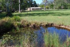 305 Dath Henderson Road TINBEERWAH, QLD 4563 Circumstances Call for Immediate Sale. Make Me An Offer
- TINBEERWAH QLD Ideally
located close to Noosa, Cooroy and Eumundi this 34 acre captivating
block must be sold due to vendor circumstances. Situated at the end of a
long 500 metre sealed driveway you will enjoy absolute peace and quiet
in the heart of the Noosa Hinterland. Improvements to the block include a
23m x12m Totalspan shed complete with steel framed internal wall
partitions and ceilings, power connected to the power box at the front
of the property and three-phase power cabling trenched and installed to
the shed and single phase cabling trenched and installed to the power
post for the house site, installation of Advanced Secondary Fuji Clean
water treatment system, installation of septic holding tank plus pump
well tank for shed use and connection from these tanks to Fuji system
plus under slab plumbing from shed to septic holding tank, soil testing
for proposed house site and dam site, poly pipe connection from on-site
bore to shed, and much more. The land is a mixture of established
timber, green open pasture and heavily timbered natural forest. This is
an opportunity not to be missed, most of the work is done and all that’s
left to do is build your dream home. Bookings by appointment Call
anytime to arrange a viewing. Ref: 489