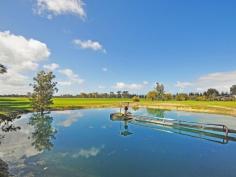 370 Hairpin road Jindong WA 6280 Country acreage and water close to town! What an astounding property to present to you as your new home. This approximately 58 acre lifestyle property really does have the best of both worlds, tranquility and country living with Busselton and Margaret River towns close by. - Large dam equipped with both a multi stage pump and pressure system. - 5 acres currently being under irrigation. - Two water tanks comprising 270 000 litres all your water needs are met. - 18mtr by 9mtr farm shed has extra thick footings to handle the farm machinery. - All four bedrooms being double sized or larger - Saxon solid fuel heater - Reverse cycle split system air conditioner - Bamboo flooring through the living areas and insulation. - Outdoor decked alfresco area that looks out to your land. - Approx 5 Acres are Paddock, House, Yard - Currently tenanted where the least expires in June and is rented at $550 per week! This property has many more features to offer but needs to be seen for yourself, to arrange an inspection please contact Laura for an appointment, these properties in this location are rare! General Features Property Type: Acreage/Semi-Rural Bedrooms: 4 Bathrooms: 2 Outdoor Features Garage Spaces: 1