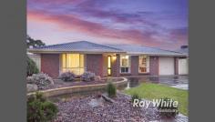 15 Lukin Ave Paralowie SA 5108
An Esteemed Class Of Family Excellence!
This incredible family home with multiple living areas offers the complete enviable lifestyle and location. Step
inside where you can immediately entertain your guests in the L-shaped
lounge and dining area with ducted heating and cooling for year round
temperature control and comfort. From here you will find the charmingly
updated galley style kitchen with modern gas cooktop and oven,
rangehood, double sink, pura tap, breakfast bar, walk in pantry and
plenty of bench and cupboard space making preparing a sharing meals a
breeze! This overlooks a second living area giving your family room to
spread out. There are three great sized bedrooms, the master
complete with walk in robe and ensuite, while bedrooms two and three
boast built in robes for your storage needs. A three-way bathroom is
centrally located between bedrooms 2 & 3 for ultimate convenience. It
keeps getting better with an expansive undercover outdoor entertaining
area perfect for histing BBQ's with family and friends. This overlooks
the low maintenance yard with enough room for the kids and pets to play.
The WOW factor of the home is the 6m x 6m external rumpus with lights
and power making it the ideal teenage retreat, 4th bedroom, workshop or
man cave, it's all up to you! Other features you will love about this home include; - 5kw Solar Panel System to keep those bills low - Carport with automatic roller door and drive through rear access. - Front & rear drip feed irrigation keeping the gardens immaculate with minimal maintenance Set
on a 561sqm allotment just a short stroll from a park, there is so much
to love about this location. You are just a short stroll away from bus
stops, Paralowie Village Shopping Centre, local reserves, and schools,
making this the perfect family home. This stunning family home truly has
everything you could need, you do not want to miss out on this one! Phone Mike Lao Now To Inspect!