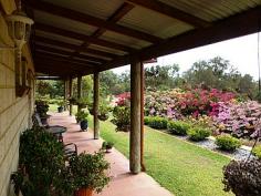19 Orchard Rest Two Rocks WA 6037 LARGE RURAL RETREAT - SEE VIDEO TOUR! A few kilometres from the beach in the popular Seatree's Estate is this large family home. Comprising of 4.1 Acres (1.7HA) with 4 large bedrooms, 3 bathrooms and home office. Jarrah floors throughout living areas and carpets to bedrooms. Lovely country kitchen with Island bench and granite benchtops, top quality appliances including dishwasher. Microwave recess, double fridge recess, huge walk in pantry and plenty of cupboard space including appliance cupboard. Large casual meals with saxon wood fire, separate formal dining room, formal lounge or theatre room. Games room with sliding...