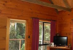Reesville QLD, 4552 Complete with a beautifully renovated 2 bedroom cottage, a large shed incorporating a self contained unit and an alternate house site should you wish to build another home. This 2.5 acres of level to gently sloping land comprises open lawns, rainforest, established gardens and fruit trees. Sit on the deck and soak in some morning sun while watching the birdlife splash in the dam.4552
