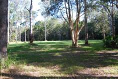 305 Dath Henderson Road TINBEERWAH, QLD 4563 Circumstances Call for Immediate Sale. Make Me An Offer
- TINBEERWAH QLD Ideally
located close to Noosa, Cooroy and Eumundi this 34 acre captivating
block must be sold due to vendor circumstances. Situated at the end of a
long 500 metre sealed driveway you will enjoy absolute peace and quiet
in the heart of the Noosa Hinterland. Improvements to the block include a
23m x12m Totalspan shed complete with steel framed internal wall
partitions and ceilings, power connected to the power box at the front
of the property and three-phase power cabling trenched and installed to
the shed and single phase cabling trenched and installed to the power
post for the house site, installation of Advanced Secondary Fuji Clean
water treatment system, installation of septic holding tank plus pump
well tank for shed use and connection from these tanks to Fuji system
plus under slab plumbing from shed to septic holding tank, soil testing
for proposed house site and dam site, poly pipe connection from on-site
bore to shed, and much more. The land is a mixture of established
timber, green open pasture and heavily timbered natural forest. This is
an opportunity not to be missed, most of the work is done and all that’s
left to do is build your dream home. Bookings by appointment Call
anytime to arrange a viewing. Ref: 489