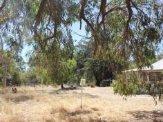 11 Caponi Rd Barragup WA 6209 Drive up the picturesque drive of the fully fenced property towards the
old Fibro home, set only metres from the river. This 4.96ha sub
dividable rural block can be split into two. You can keep one and sell
the other. Power and scheme water are connected to the property. Build
your dream home away from it all but only minutes from Mandurah's
Coffee Strip, Shops, Schools, Transport, Spud Shed & Freeway. Call Ian Lay today 0407 479 747 to arrange your viewing.
