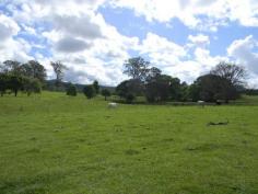 3568 Maleny Kenilworth Road, Kenilworth, Qld 4574 Just under 50 acres with full frontage to the Mary River.
Situated less than 2kms from town with bitumen road frontage.
Beautiful block with fantastic soil, rolling kikuyu pasture and an
excellent water supply from two good sized dams and the river.
No major flooding issues with this property.
Excellent house sites that offer very good views over the block and nearby rural acreage/farming land.
Cows and calves included if you wish.