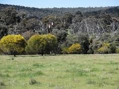 Lot 2 Fernie Rd, Bakers Hill, WA 6562
YOUR OWN PIECE OF HEAVEN!!
Just enough pasture to keep the ponies
(about 75%) , a bit of bush for shade and a winter creek to have those
picnics beside!
Fully fenced 5 acre block with all services available .
Come and see this pretty block and decide where the dream house is going
to be built!