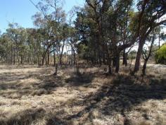 Ballandean Street Stanthorpe Qld 4380 VACANT RESIDENTIAL BLOCK, BIT BETTER THAN AN ACRE
Those searching the market for a spacious residential block to
build their new home upon need to inspect this lovely parcel of land
located in the quiet country region of Jennings, right on the border of
Qld & NSW. The 4296m2 block has a lovely rural feel to it, is nice
and level and is a blank canvass for the new owners to landscape to
their heart's desire. Well priced with a owner motivated to sell,
contact Scott Mann on 0427 814 444 or Simon Leigh on 0418 790 070 to
make an appointment.