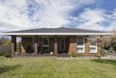17 High St W Ararat VIC 3377
Space for Family & Friends
For Sale $259,000
Image Gallery
Print A Brochure
Email A Friend
Bookmark Property
More Sharing Services
Situated in the ever popular elevated west end
is this quality constructed and spacious 3 bedroom brick veneer home on a
low maintenance securely fenced block. A unique property with the
added benefit of a separate bedsit granny flat complete with kitchenette
and full bathroom, ideal for extra guests or your family requiring
independent living in teenage or retirement years. A large bright
formal lounge living room has a north aspect, gas heating, air
conditioner, a formal dining room with sliding door opening to a
lovely outside, raised, paved patio joining the two living areas and
enjoying the views to the surrounding well established gardens. The
kitchen oozes functionality with laminate benches, ample drawers &
cupboard space, dishwasher & a wall oven, from here a hall leads to 2
bedrooms both with BIRS and the main bathroom with separate bath,
shower, vanity and toilet. The master bedroom is at the front end of
the home with wall to floor BIRs and its own ensuite. A double carport,
workshop and garden sheds complete this package. Make it one on your
list to inspect.