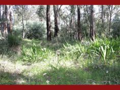 Parkerville
WA
6081
What a spot! Opposite the huge Railway and Florence Watson Reserves
with walkways and a creek this conveniently shaped block is in a prime
position and has a wide 31 metre frontage allowing for all sorts of
different home designs to be built within.
Stretching to a depth of approximately 75 to 80 metres there is heaps
of space to separately erect other buildings and have space to keep in
it’s natural current state or develop with the gardens of your choice.
The community around is well established with already built homes on
three sides, perfect for those wanting to settle into a neighbourhood of
long standing locals and not have to endure the buzz of building works
of new developments.
Incredibly close to the Jane Brook Walk Trail the property is only
minutes’ walk to the heart of Parkerville, its local shops and local
school further afield. Also within 5 minutes drive of the local hub of
the Hills, Mundaring is a only short distance away.
This 2378sqm (over half and acre) blank canvas could be the ideal
location for your awaiting Hills home so get a phone and call Tim
Christie.
