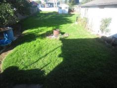 29 Meroo Street Blacktown NSW 2148 771m2 - Walk to station/Westpoint Dual Occupancy Potential Solid good size 3bdr (2 with mirrored B/I's) house with lock up garage set on a 771m2 rectangle block. Within minutes walk to Westpoint and Blacktown station, schools, church's, etc. Features spacious living area with high ceilings together with air con. 3 Good size bedrooms, separate formal dining, timber kitchen with good bench and cupboard space. Whilst offering updated bathroom with separate toilet. Ideal for investor as ready to lease out immediately, will also suit owner occupier. Highly sought after location. Construct your dream house in popular location. Rectangular 771m2 block would suit Dual Occupancy Potential (subject to council approval) Great Investment opportunity. Popular Location..Be Quick! Property Code: 202 General Features Property Type: House Bedrooms: 3 Bathrooms: 1 Outdoor Features Carport Spaces: 1 Garage Spaces: 1