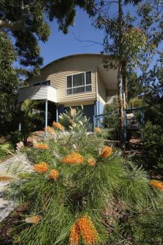 2/35 Boomerang Dr Boomerang Beach NSW 2428 Description The BEST of both Worlds – Bush and Beach! Settle into this three bedroom, two bathroom, very private beach house, only 300 metres to the white sands and beautiful turquoise waters of North Boomerang Beach. Open plan in design with everything at hand, featuring Baltic pine flooring throughout and carpet in the bedrooms, whilst the master bedroom has an ensuite and own private balcony. There is a paved, very private entertaining area at the rear of the home which is a wonderful spot to entertain or purely enjoy the tranquility and the native birdlife of the adjacent natural bushland. “Enjoy the trees while you listen to the seas” Property Profile Category: House Auction: Ref Number: 219315 Address: 2/35 Boomerang Drive Location: Boomerang Beach Zoning/Use: Residential Bedrooms: 3 Bathrooms: 2 Toilets: 2 Parking: 1 Car Garage, Off Street Parking Building: Weather board Land Size: (Approximate) 890m2 in total Water Views: No Price: $$439,000 Inclusions\Features: Balcony Ceiling Fans En Suite Less than 1 min to Beach Less than 5 min to Lake Walk in Robe