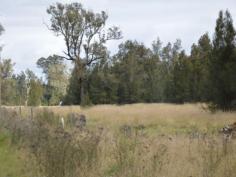 525 Gresford Road Singleton NSW 2330 Rural Living Close to Town
Located on Gresford Road 5km from Redbournberry Bridge this 12.5
acre (approx) lot offers a rural lifestyle close to town. With fertile
creek flats and large level building site allows plenty of room for many
different pursuits.
Fantastic rural living close to town.
Agent declares interest.