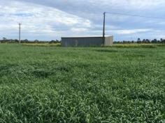 Lot 107 Ballandown Road, STRATHALBYN SA 5255 $350,000
Located on the corner of Ballandown Road and Leslie Road, Angas Plains,
this land is amongst the most fertile land on the plain and consistently
produces high yielding crops. Suitable for broadacre cropping,
Horticulture and Viticulture. Market gardens have historically produced
quality vegetables on adjoining land, and vineyards are now producing
quality produce all around the block. Improvements include two
machinery sheds and three phase mains power. The use of two bores on the
property and the Water Licence will be retained by the Vendors by way
of an easement over that portion of the land. Some water lease may be
available to the Purchasers. An established wetland has seen a prolific regeneration of red-gums on a corner of the property. The property has 32.37 ha of some of the most fertile land in the district and is well worth an inspection.