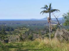 3/199 Hunters Road Yarrahapinni NSW 2441 VIEWS, VIEWS & MORE VIEWS!!!!
A vacant alotment of 9ha or 27 acres with the most incredible views
over Trial Bay, South West Rocks and beyond. Situated on the eastern
side of Mt Yarrahappinni this ex avocado and banana plantation offers
outstanding home sites with great aspects, loads of water, power to the
boundary and a short drive to Stuart's Point beaches and the Macleay
River.This really is an outstanding block. If you want to chase your
dream, start here.