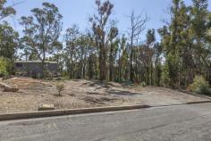 104 Illingworth Rd Yellow Rock NSW 2777 Whisper quiet location with so much privacy
Situated
in a whisper quiet location with complete privacy to the front, rear
and one side, this 809.4m2 approx. block is the last residential parcel
available on this peaceful street. Beautiful bush views offer abundant
serenity, while the all the conveniences of town such as shops and
schools are just minutes drive by car or public bus which services this
street. This is a fantastic opportunity to build your dream home in a
location which combines the best aspects of living in the Blue
Mountains National Park; privacy, serenity and verdant views all while
remaining just minutes from the local shopping centre, schools, day care
and public transport. Summary of features include: * Whisper quiet location in the Blue Mountains National Park * Complete privacy to front, rear and one side * Minutes drive from the conveniences of town * Street serviced by public bus * Last residential parcel available on the street * Bush views yet located in an established neighbourhood Please
contact Lister & Cole Estate Agents for further details on this
fantastic opportunity to build your dream home; peaceful and private yet
just a short drive to shops, schools and public transport.