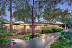 20-22 Kerry Road Warranwood VIC 3134 **** UNDER CONTRACT **** Tucked in an exclusive and infinitely peaceful pocket of Warranwood is this irresistible family home that immerses you in bushland vistas and beautiful birdsong. The spacious and welcoming interior is beautifully presented, featuring 3 living zones and easy indoor/outdoor flow to an immaculate landscaped garden. Adjoining the Candlebark Reserve provides a luxurious sense of space for this impeccable home ? built with family life in mind. - Attractive brick home set amid leafy landscaped gardens in park side location - Granite kitchen with 900mm s/steel cooker, Asko dishwasher, and bay window - Open kitchen/meals/family zone warmed by a gas log fire, with bay window and deck access - The elegant lounge enjoys a Victorian open fireplace and adjoining dining room - The spacious rumpus with timber flooring leads to the pretty rear garden - Master bedroom boasts walk thru robe to bright ensuite bathroom - A study and well appointed laundry complete the home?s interior - Features include ducted heating/refrigerative air conditioning, ducted vacuum, intercom, and powered under house workshop/storage - A large rear deck overlooks the Candlebark . General Features Property Type: House Bedrooms: 4 Bathrooms: 3 Land Size: 1995 m² (approx) Indoor Features Study Outdoor Features Garage Spaces: 2 $890,000 - $1,030,000