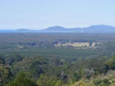 3/199 Hunters Road Yarrahapinni NSW 2441 VIEWS, VIEWS & MORE VIEWS!!!!
A vacant alotment of 9ha or 27 acres with the most incredible views
over Trial Bay, South West Rocks and beyond. Situated on the eastern
side of Mt Yarrahappinni this ex avocado and banana plantation offers
outstanding home sites with great aspects, loads of water, power to the
boundary and a short drive to Stuart's Point beaches and the Macleay
River.This really is an outstanding block. If you want to chase your
dream, start here.