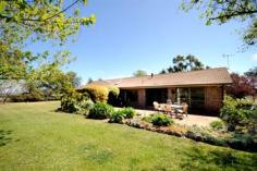 8R Angle Park Rd Dubbo NSW 2830 For Sale: Offers over $565,000 Property: Acreage Bldg: Brick Veneer Council: Dubbo Furnished: N Llarof - Offers Lifestyle and Location An outstanding lifestyle property of 12.33 ha with four bedroom residence set in elevated position with picturesque rural views. Located in the sought after Angle Park Estate off Old Dubbo Road. Licensed bore providing a permanent water supply for grounds and livestock. Features: * 4 bedrooms with built-ins & ensuite * 3 separate living areas * Superb family room with rural outlook * Modern kitchen, granite bench tops & appliances * Lounge room with cathedral ceiling * Double garage & two auto opening doors * Ducted zoned reverse cycle air conditioning * Paved outdoor living area * Permanent registered bore with holding tank, & rainwater tank * Extensive grounds & gardens serviced by Hunter auto watering system * Variety of fruit trees *Shed, tack room, chook yard & dog kennels * Enjoy the best of rural lifestyle Dubbo has to offer being close to the CBD and all facilities in South Dubbo. The information and figures contained in this material is supplied by the vendor and is unverified.Potential buyers should take all steps necessary to satisfy themselves regarding the information contained herein. Open for Inspection Sat, 18 Oct 2014: 10:00 AM to 10:30 AM Sat, 25 Oct 2014: 10:00 AM to 10:30 AM