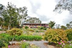 24 Oldbury St Berrima NSW 2577 530,000 - Lovely three bedroom cottage with fantastic views over Wingecarribee river - Open plan dining and lounge room, combustion fireplace & split system air-conditioning - Great kitchen with stainless steel appliances, spacious entertaining deck with views - All bedrooms with built-ins, modernised bathroom + additional toilet next to laundry - Undulating pretty gardens cascading down to the river, great spot for fishing - Single lock-up garage + plenty of off-street parking, only moments to Berrima village Property Details Bedrooms 3 Bathrooms 1 Garages 1 Land Area 2479 m2