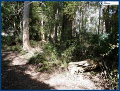 25 Banksia Rd Springbrook QLD 4213 This 708m2 block has a natural gently sloping contour and is in a very
quiet area in the Springbrook National Park precinct where your visitors
will be native paddy melons, parrots, kookaburras and more! From
here you can walk to the Canyon Lookout and through the National Park
trails to the waterfalls. Get fit, enjoy nature at its best and fresh
mountain air at the same time! Local cafes are within a short
walk and it is just a few minutes drive to the local primary school.
Mudgeeraba & Robina Town Centre, railway & hospital take only 30
minutes to reach by car. If you are looking to build a new home, minimal clearing will enable you to do so. Come and explore what may be the start of your new mountain lifestyle.