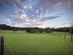 96 Dicksons Rd Jilliby NSW 2259 Over $1,350,000 Perfect acres
If you have been looking for that perfect property this could be
the one for you. Set on approx. 38 pasture improved acres located handy
to schools, shops and major transport links, you will feel at home the
instant you enter the property. The house is set well back from the road
ensuring your privacy whilst offering extended views over the
magnificent rural landscape. This well proportioned and comfortable
family residence is the ideal escape, whether just for short breaks or
as a permanent home. Sun filled and airy, the open plan design allows
for easy living, with plenty of space to entertain your family and
friends. This versatile property is fully fenced and drought-proof with
direct access to water. It comes complete with an arena, shelters,
machinery shed, workshop and two double lock-up garages. Minutes from
schools, shops, the M1, Wyong, Westfield Tuggerah and an easy drive to
Tuggerah Lake and coastal beaches. All just 45 minutes from Wahroonga.
This wonderful property really offers the best of both worlds!